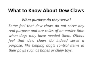 What to know about dew claws | PPT