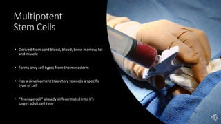 Multipotent
Stem Cells
• Derived from cord blood, blood, bone marrow, fat
and muscle
• Forms only cell types from the mesoderm
• Has a development trajectory towards a specific
type of cell
• “Teenage cell” already differentiated into it’s
target adult cell type
 