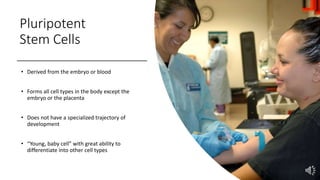 Pluripotent
Stem Cells
• Derived from the embryo or blood
• Forms all cell types in the body except the
embryo or the placenta
• Does not have a specialized trajectory of
development
• “Young, baby cell” with great ability to
differentiate into other cell types
 