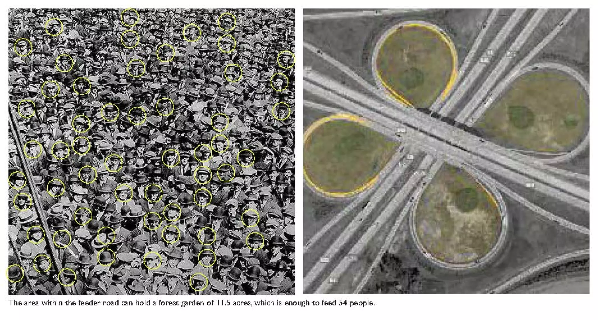 What I Have Discovered