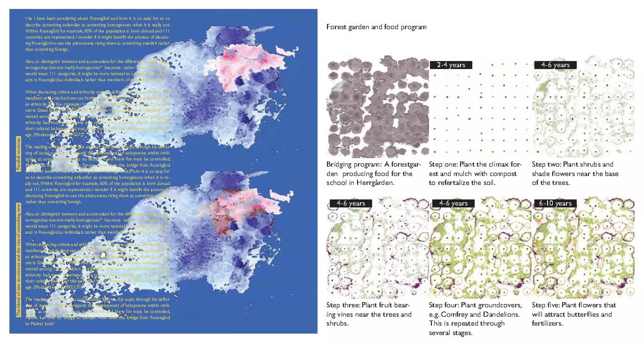 What I Have Discovered