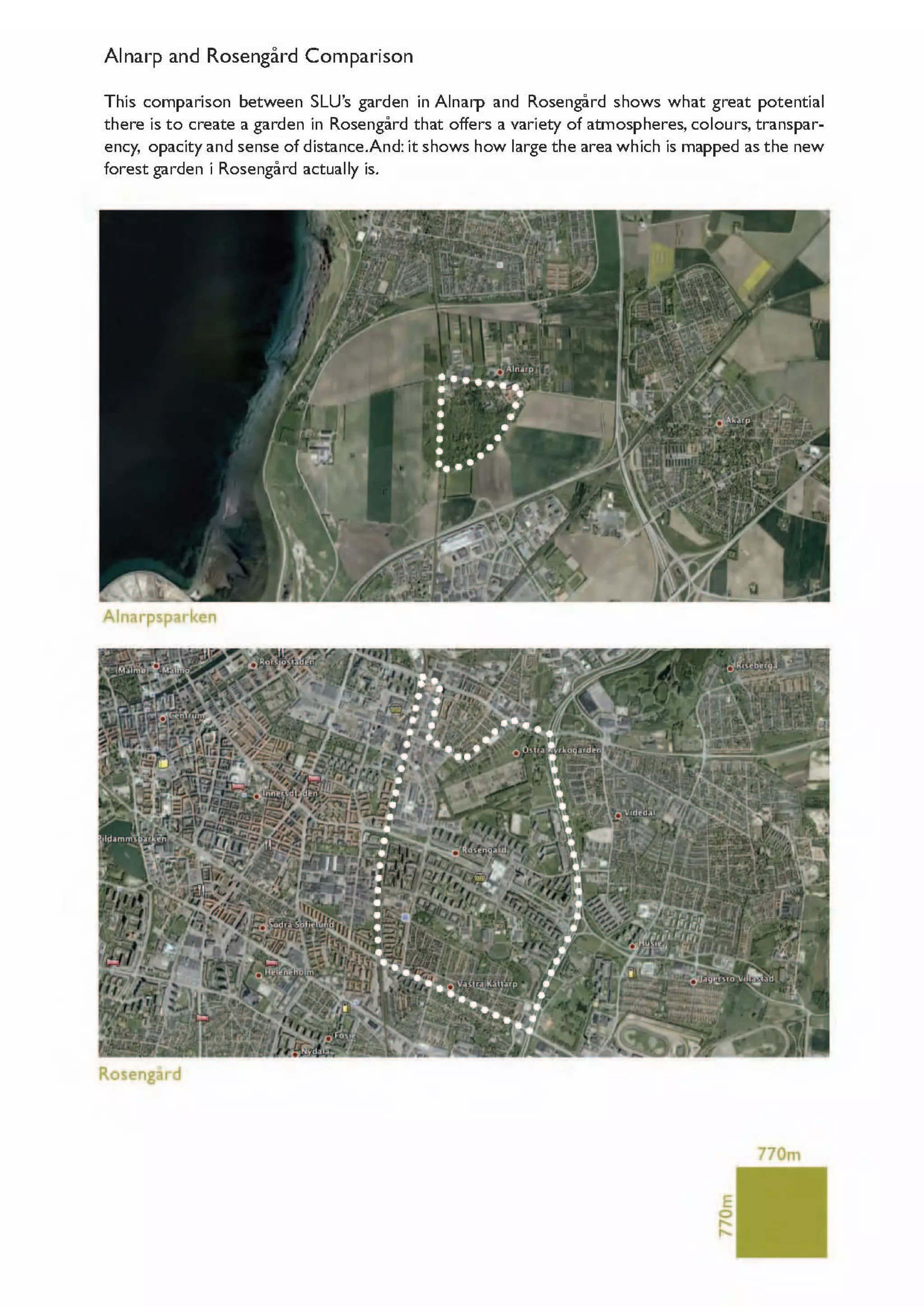 What I Have Discovered