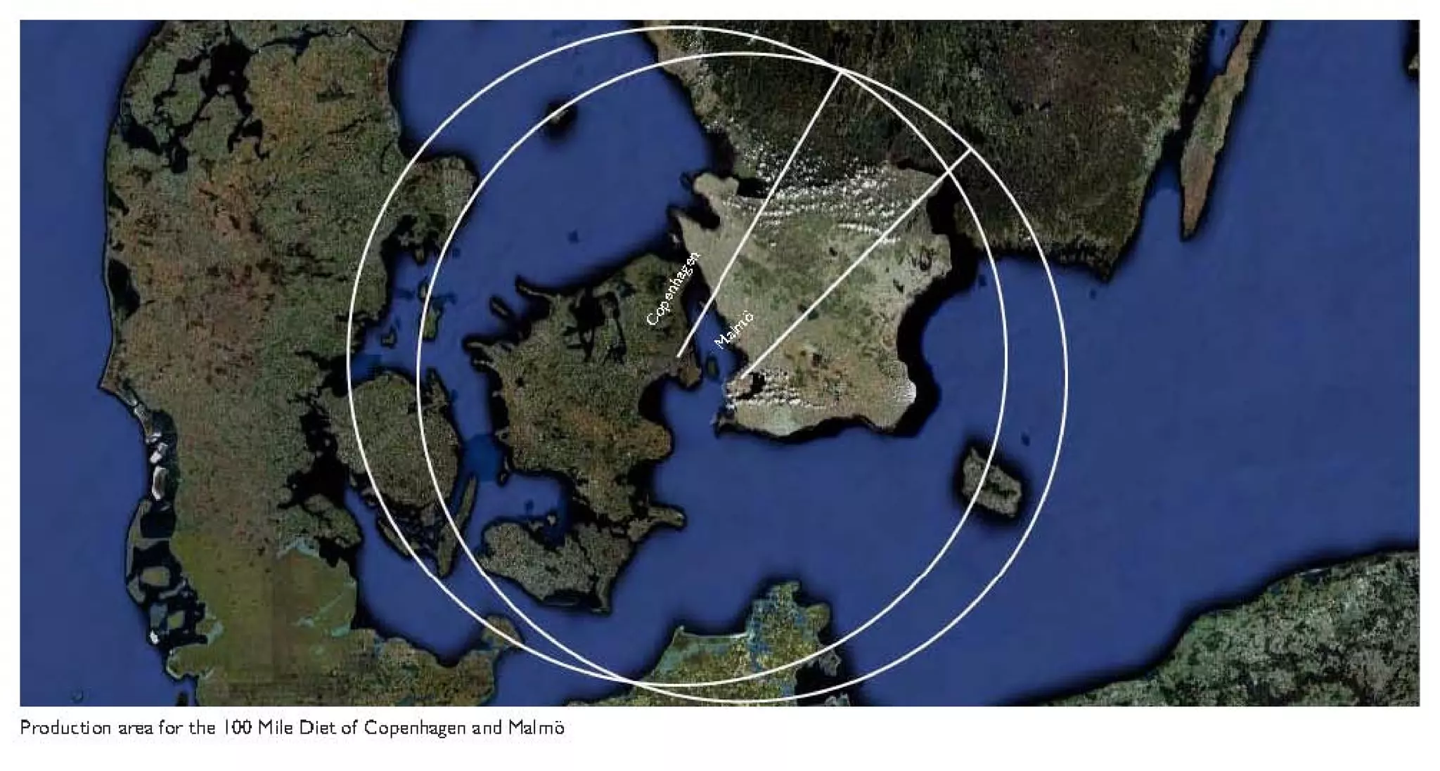 What I Have Discovered