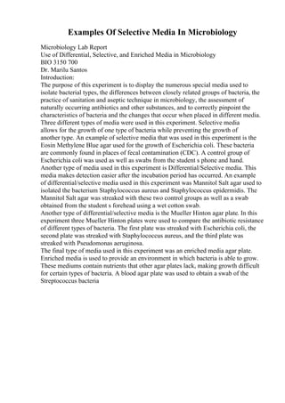 Examples Of Selective Media In Microbiology
Microbiology Lab Report
Use of Differential, Selective, and Enriched Media in Microbiology
BIO 3150 700
Dr. Marilu Santos
Introduction:
The purpose of this experiment is to display the numerous special media used to
isolate bacterial types, the differences between closely related groups of bacteria, the
practice of sanitation and aseptic technique in microbiology, the assessment of
naturally occurring antibiotics and other substances, and to correctly pinpoint the
characteristics of bacteria and the changes that occur when placed in different media.
Three different types of media were used in this experiment. Selective media
allows for the growth of one type of bacteria while preventing the growth of
another type. An example of selective media that was used in this experiment is the
Eosin Methylene Blue agar used for the growth of Escherichia coli. These bacteria
are commonly found in places of fecal contamination (CDC). A control group of
Escherichia coli was used as well as swabs from the student s phone and hand.
Another type of media used in this experiment is Differential/Selective media. This
media makes detection easier after the incubation period has occurred. An example
of differential/selective media used in this experiment was Mannitol Salt agar used to
isolated the bacterium Staphylococcus aureus and Staphylococcus epidermidis. The
Mannitol Salt agar was streaked with these two control groups as well as a swab
obtained from the student s forehead using a wet cotton swab.
Another type of differential/selective media is the Mueller Hinton agar plate. In this
experiment three Mueller Hinton plates were used to compare the antibiotic resistance
of different types of bacteria. The first plate was streaked with Escherichia coli, the
second plate was streaked with Staphylococcus aureus, and the third plate was
streaked with Pseudomonas aeruginosa.
The final type of media used in this experiment was an enriched media agar plate.
Enriched media is used to provide an environment in which bacteria is able to grow.
These mediums contain nutrients that other agar plates lack, making growth difficult
for certain types of bacteria. A blood agar plate was used to obtain a swab of the
Streptococcus bacteria
 