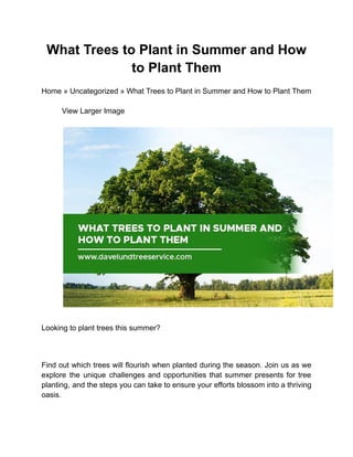 What Trees to Plant in Summer and How
to Plant Them
Home » Uncategorized » What Trees to Plant in Summer and How to Plant Them
​ View Larger Image
​
​
Looking to plant trees this summer?
Find out which trees will flourish when planted during the season. Join us as we
explore the unique challenges and opportunities that summer presents for tree
planting, and the steps you can take to ensure your efforts blossom into a thriving
oasis.
 