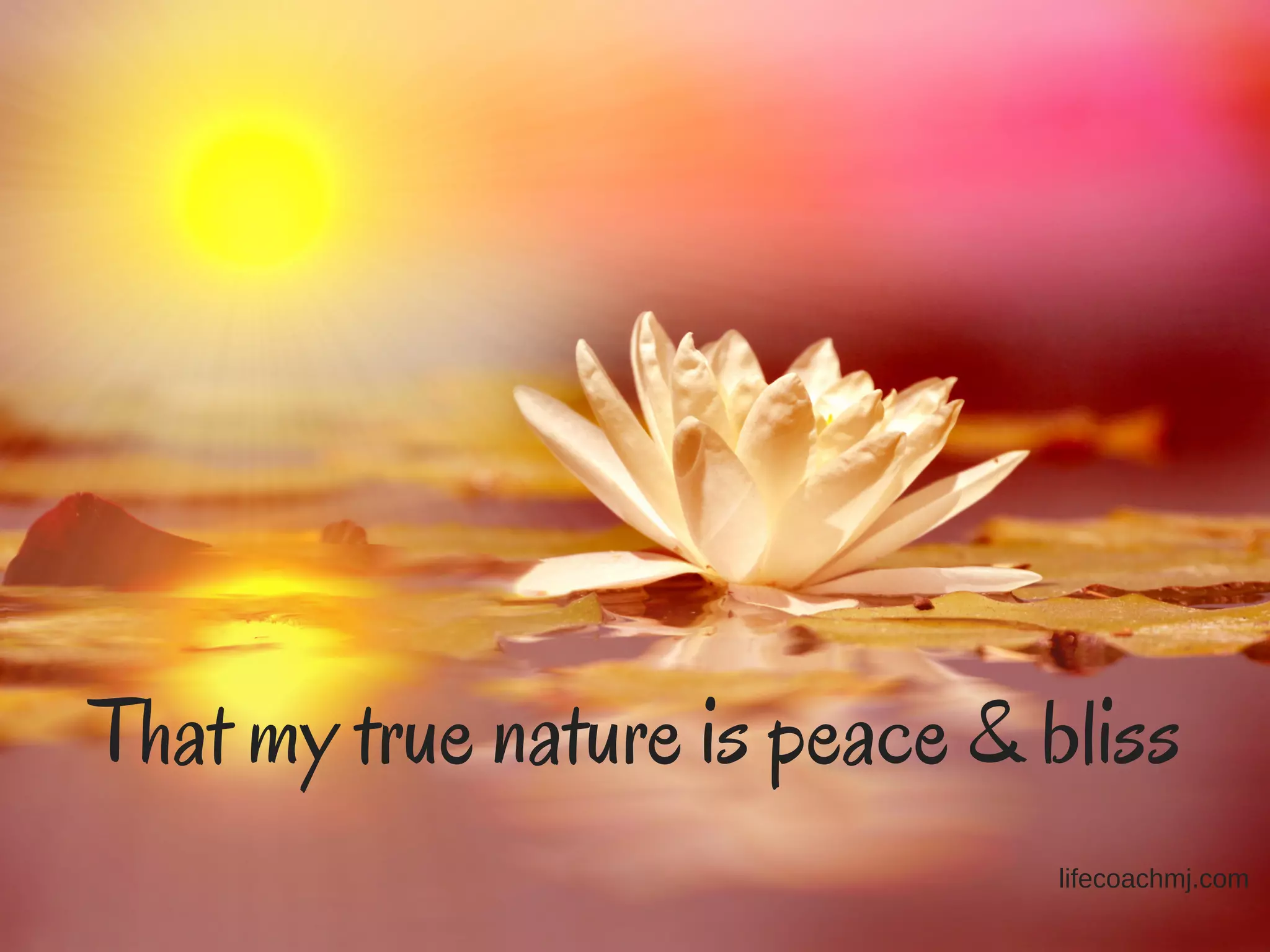 That my true nature is peace & bliss
lifecoachmj.com