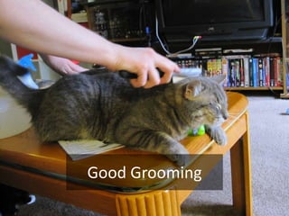 Good Grooming<br />