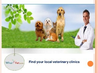 Find your local veterinary clinics
 