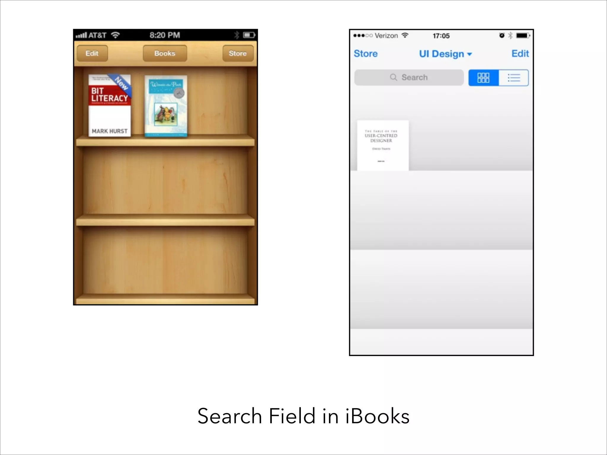 Search Field in iBooks

 