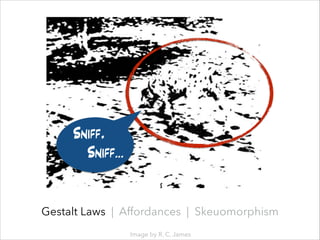 Sniff,
Sniff…

Gestalt Laws | Affordances | Skeuomorphism
Image by R. C. James

 