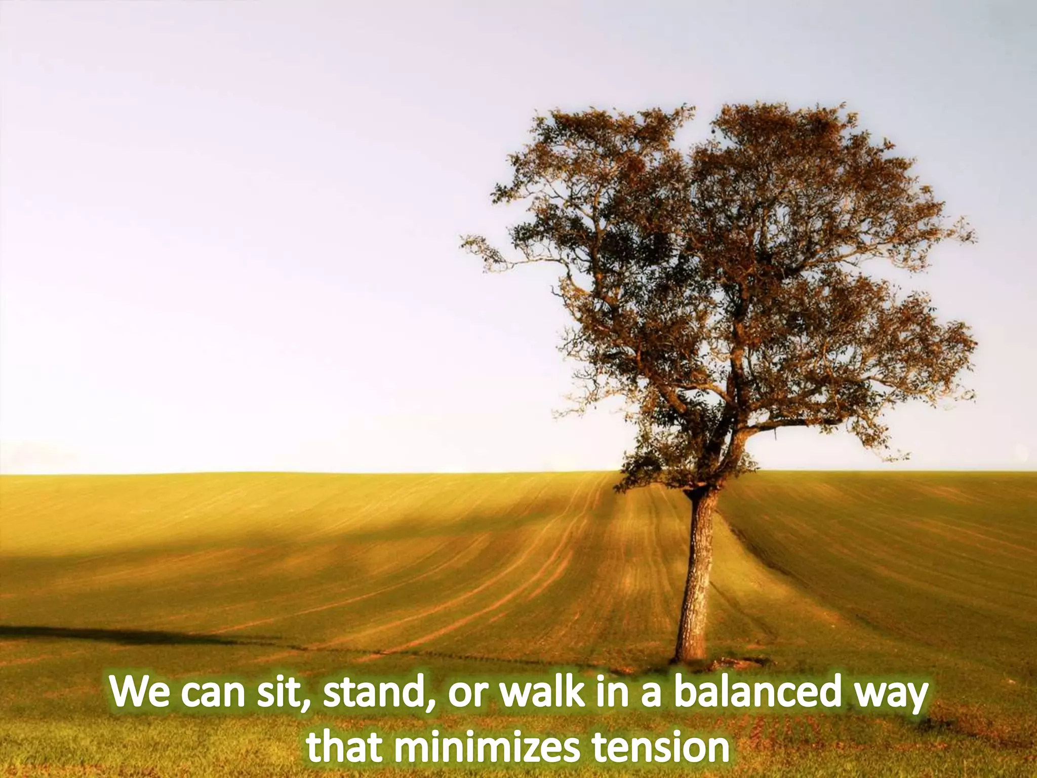 We can sit, stand, or walk in a balanced way that minimizes tension