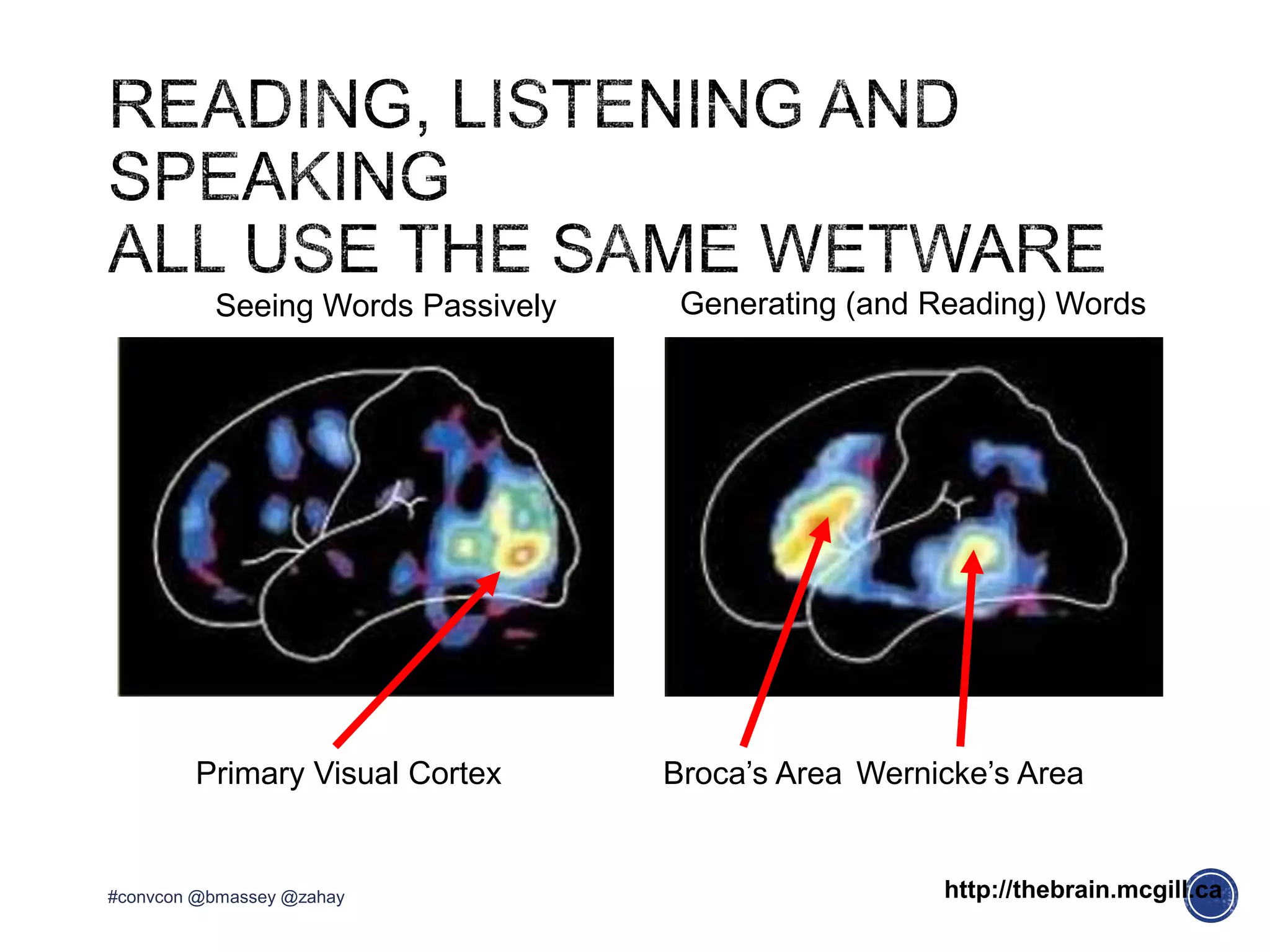 Seeing Words Passively
Primary Visual Cortex
Generating (and Reading) Words
Broca’s Area Wernicke’s Area
http://thebrain.mcgill.ca#convcon @bmassey @zahay
 