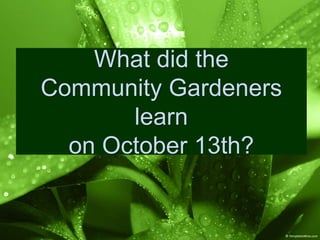 What did the
Community Gardeners
learn
on October 13th?
 
