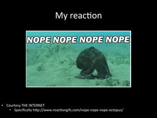 My	
  reacAon	
  




•  Courtesy	
  THE	
  INTERNET	
  
    •  Speciﬁcally	
  hIp://www.reacAongifs.com/nope-­‐nope-­‐nope-­‐octopus/	
  
 