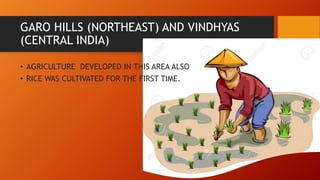 GARO HILLS (NORTHEAST) AND VINDHYAS
(CENTRAL INDIA)
• AGRICULTURE DEVELOPED IN THIS AREA ALSO
• RICE WAS CULTIVATED FOR THE FIRST TIME.
 
