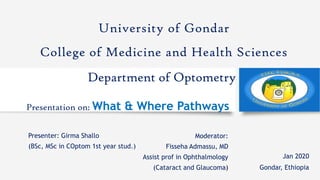 Presentation on: What & Where Pathways
Presenter: Girma Shallo
(BSc, MSc in COptom 1st year stud.)
University of Gondar
College of Medicine and Health Sciences
Jan 2020
Gondar, Ethiopia
Department of Optometry
Moderator:
Fisseha Admassu, MD
Assist prof in Ophthalmology
(Cataract and Glaucoma)
 