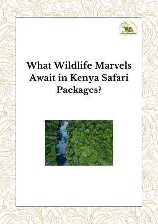 What Wildlife Marvels
Await in Kenya Safari
Packages?
 
