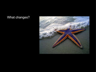 What changes?   