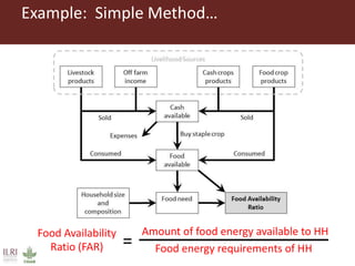 What works where for which farm household: Estimated effects of different interventions on food availability across household distributions in East and West Africa
