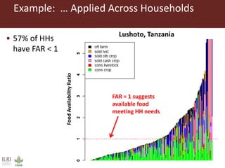 What works where for which farm household: Estimated effects of different interventions on food availability across household distributions in East and West Africa
