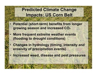 Predicted Climate Change
Impacts: US Corn Belt
• Potential (short-term) benefits from longer
growing season and increased CO2
• More frequent extreme weather events
(flooding to drought conditions)
• Changes in hydrology (timing, intensity and
erosivity of precipitation events)
• Increased weed, disease and pest pressures
 