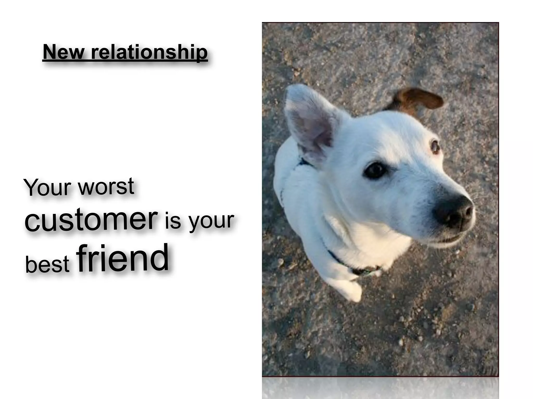 New relationship




Your worst
customer is your
best friend



                    14
 