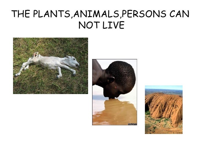 What would happen if there is no water