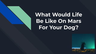 What Would Life
Be Like On Mars
For Your Dog?
 