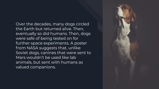Over the decades, many dogs circled
the Earth but returned alive. Then,
eventually so did humans. Then, dogs
were safe of ...