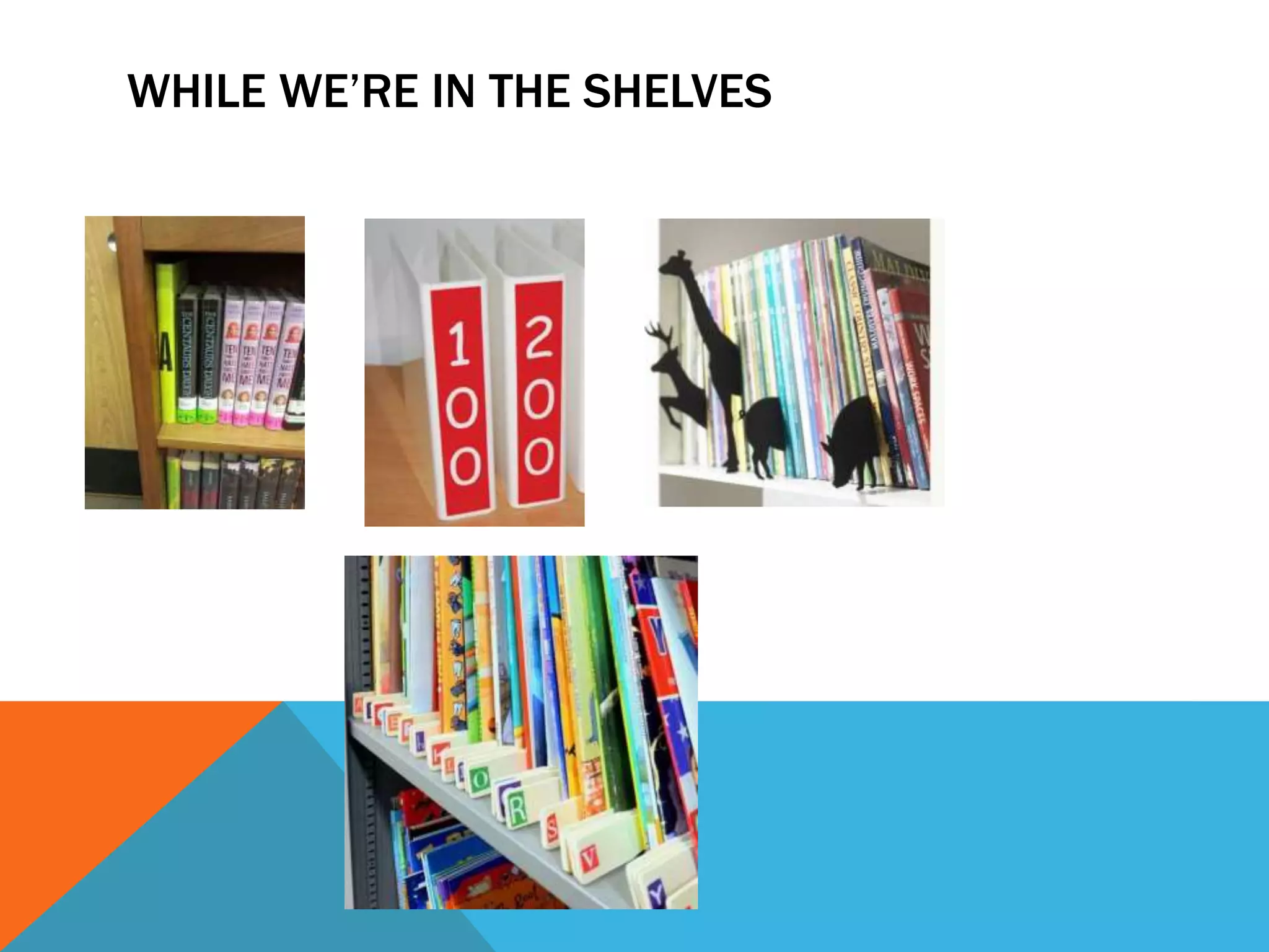 WHILE WE’RE IN THE SHELVES
 