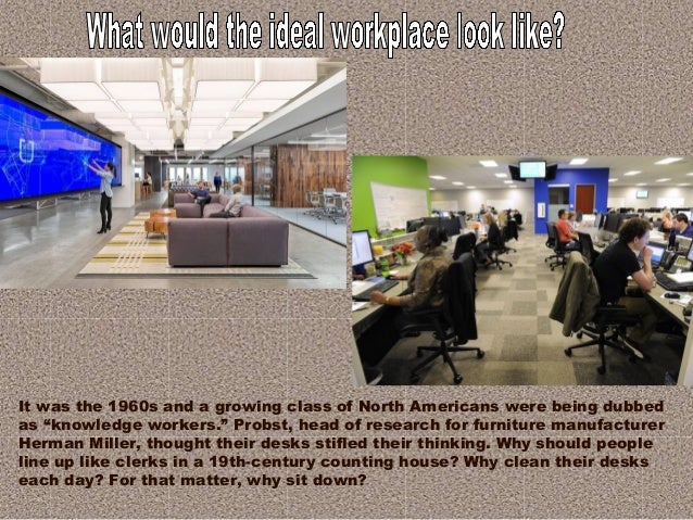ideal work place
