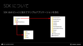 #UE4 | @UNREALENGINE
SDK はdll (C++) に加えてサンプルアプリケーションを含む
SDK について
 
