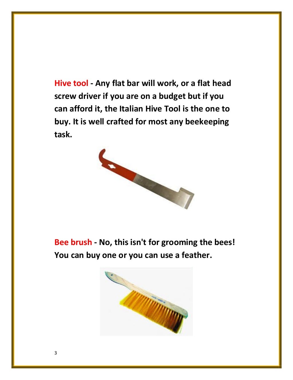 What You’ll Need to Start a Beehive? A Quick Guide to Starting a