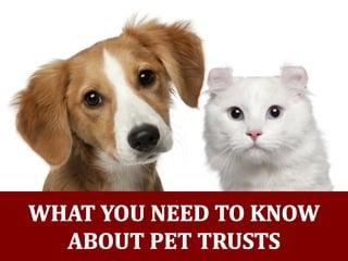 What You Need To Know About Pet Trusts in Arkansas