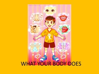 WHAT YOUR BODY DOES

 