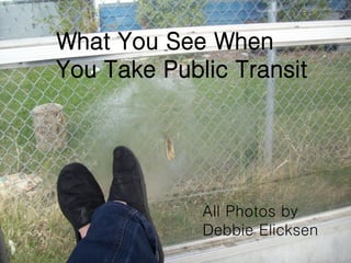 What You See When You Take Public Transit 
All Photos by Debbie Elicksen  
