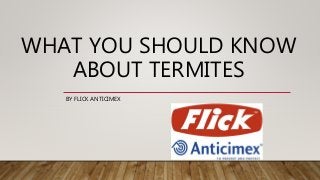 WHAT YOU SHOULD KNOW
ABOUT TERMITES
BY FLICK ANTICIMEX
 