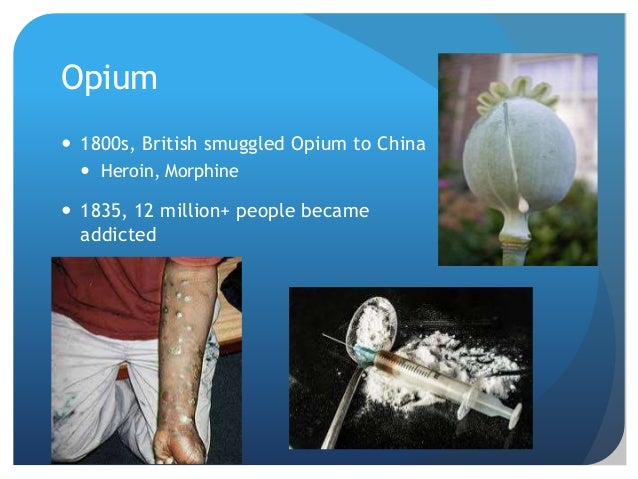 World History Chapter 28 Transformations Around The Globe