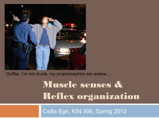 Muscle senses &
Reflex organization
Csilla Egri, KIN 306, Spring 2012
Ociffer, I’m not drunk, my proprioceptors are askew…
 
