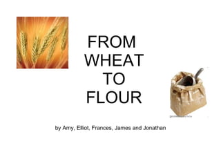 FROM  WHEAT  TO  FLOUR by Amy, Elliot, Frances, James and Jonathan 