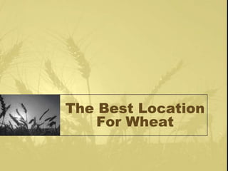 The Best Location
    For Wheat
 