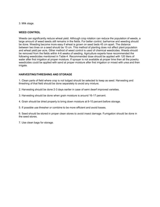3. Milk stage.
WEED CONTROL
Weeds can significantly reduce wheat yield. Although crop rotation can reduce the population of weeds, a
large amount of weed seeds still remains in the fields. For better control, barharrow and weeding should
be done. Weeding become more easy if wheat is grown on seed beds 45 cm apart. The distance
between two lines on a seed should be 15 cm. This method of planting does not affect plant population
and wheat yield per acre. Other method of weed control is used of chemical weedicides. Weeds should
be removed from the fields within 4-6 weeks of seeding. Agriculture experts have recommended the
following weedicides mentioned in Table-4. Recommended dose should be applied with 120 liters of
water after first irrigation at proper moisture. If sprayer is not available at proper time then all the powdry
weedicides could be applied with sand at proper moisture after first irrigation or mixed with urea and then
irrigate.
HARVESTING/THRESHING AND STORAGE
1. Clean parts of field where crop is not lodged should be selected to keep as seed. Harvesting and
threshing of that field should be done separately to avoid any mixture.
2. Harvesting should be done 2-3 days earlier in case of semi dwarf improved varieties.
3. Harvesting should be done when grain moisture is around 16-17 percent.
4. Grain should be dried properly to bring down moisture at 9-10 percent before storage.
5. If possible use thresher or combine to be more efficient and avoid losses.
6. Seed should be stored in proper clean stores to avoid insect damage. Fumigation should be done in
the seed stores.
7. Use clean bags for storage.
 