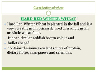 Classificationof wheat
HARD RED WINTER WHEAT
 Hard Red Winter Wheat is planted in the fall and is a
very versatile grain primarily used as a whole grain
or whole wheat flour.
 It has a similar reddish brown colour and
 bullet shaped
 contains the same excellent source of protein,
dietary fibres, manganese and selenium.
 