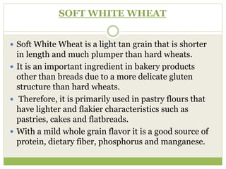 SOFT WHITE WHEAT
 Soft White Wheat is a light tan grain that is shorter
in length and much plumper than hard wheats.
 It is an important ingredient in bakery products
other than breads due to a more delicate gluten
structure than hard wheats.
 Therefore, it is primarily used in pastry flours that
have lighter and flakier characteristics such as
pastries, cakes and flatbreads.
 With a mild whole grain flavor it is a good source of
protein, dietary fiber, phosphorus and manganese.
 