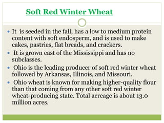  It is seeded in the fall, has a low to medium protein
content with soft endosperm, and is used to make
cakes, pastries, flat breads, and crackers.
 It is grown east of the Mississippi and has no
subclasses.
 Ohio is the leading producer of soft red winter wheat
followed by Arkansas, Illinois, and Missouri.
 Ohio wheat is known for making higher-quality flour
than that coming from any other soft red winter
wheat-producing state. Total acreage is about 13.0
million acres.
Soft Red Winter Wheat
 