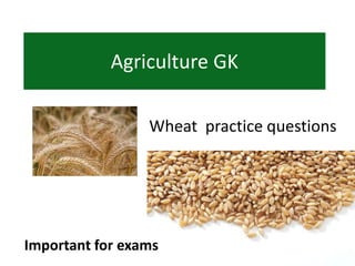 Wheat practice questions
Agriculture GK
Important for exams
 