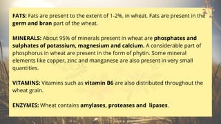 FATS: Fats are present to the extent of 1-2%. in wheat. Fats are present in the
germ and bran part of the wheat.
MINERALS: About 95% of minerals present in wheat are phosphates and
sulphates of potassium, magnesium and calcium. A considerable part of
phosphorus in wheat are present in the form of phytin. Some mineral
elements like copper, zinc and manganese are also present in very small
quantities.
VITAMINS: Vitamins such as vitamin B6 are also distributed throughout the
wheat grain.
ENZYMES: Wheat contains amylases, proteases and lipases.
 
