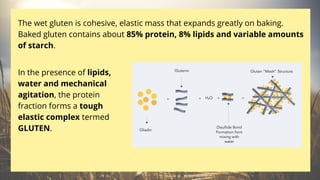The wet gluten is cohesive, elastic mass that expands greatly on baking.
Baked gluten contains about 85% protein, 8% lipids and variable amounts
of starch.
In the presence of lipids,
water and mechanical
agitation, the protein
fraction forms a tough
elastic complex termed
GLUTEN.
 