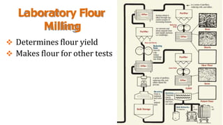 Laboratory Flour
Milling
 Determines flour yield
 Makes flour for other tests
 