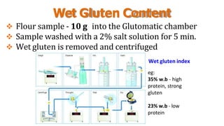 Wet Gluten Content
 Flour sample - 10 g into the Glutomatic chamber
 Sample washed with a 2% salt solution for 5 min.
 Wet gluten is removed and centrifuged
Wet gluten index
eg:
35% w.b - high
protein, strong
gluten
23% w.b - low
protein
 